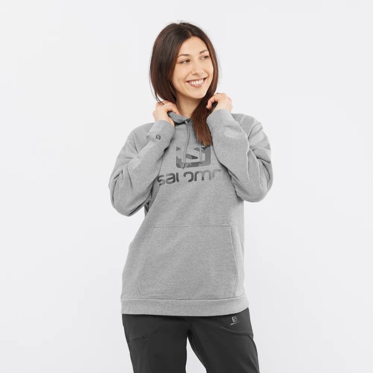 Sudadera Con Capucha Salomon Outlife Logo Summer Heather Mujer Grises | MX TYOH368